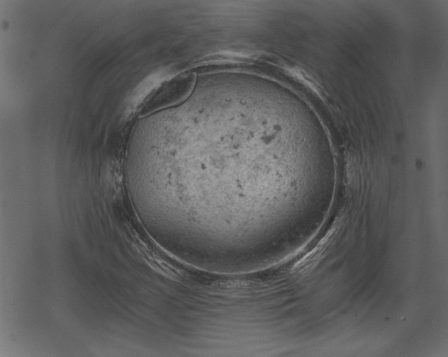 X0000068851355200605081204