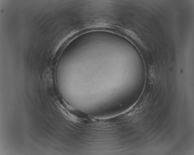 X0000068851356200605081204