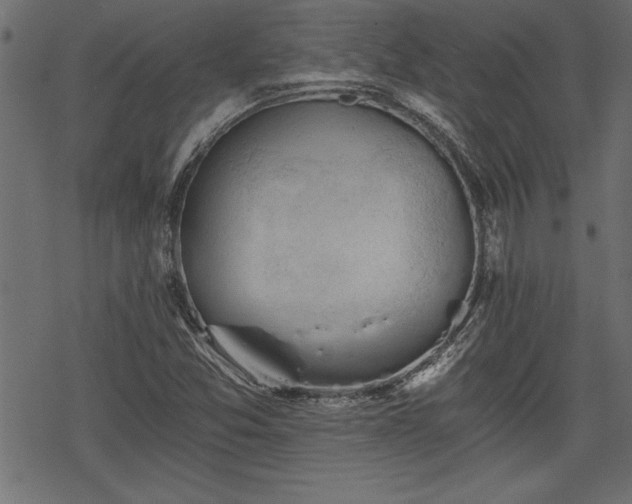 X0000068851357200605081204