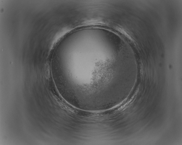 X0000068851358200605081204