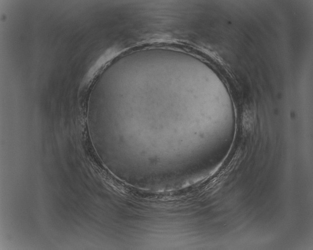 X0000068851359200605081204