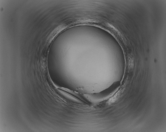 X0000068851361200605081204