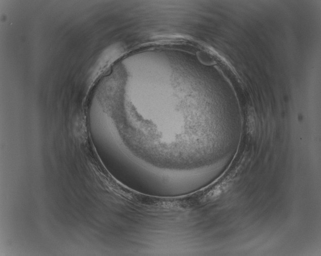 X0000068851362200605081204