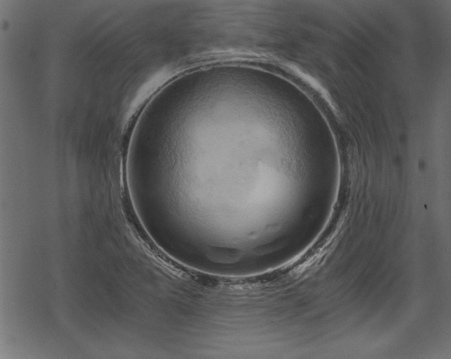 X0000068851365200605081204