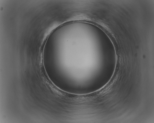 X0000068851366200605081204