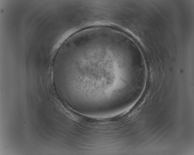 X0000068851367200605081204