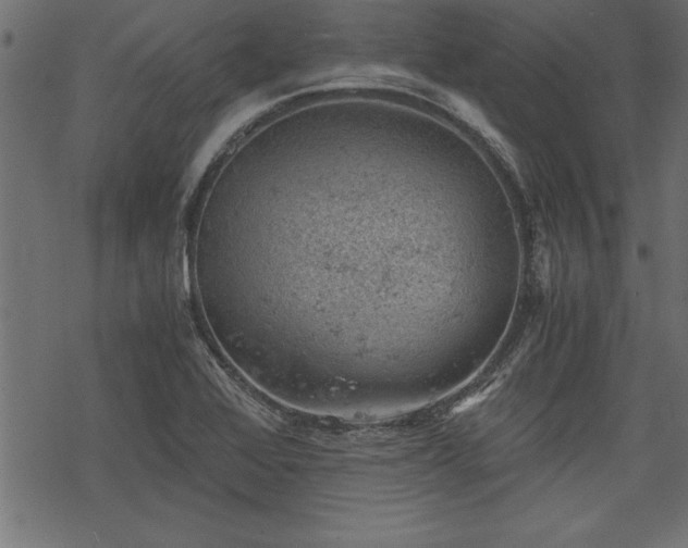 X0000068851368200605081204