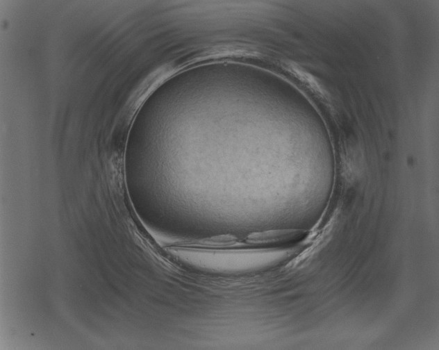 X0000068851369200605081204