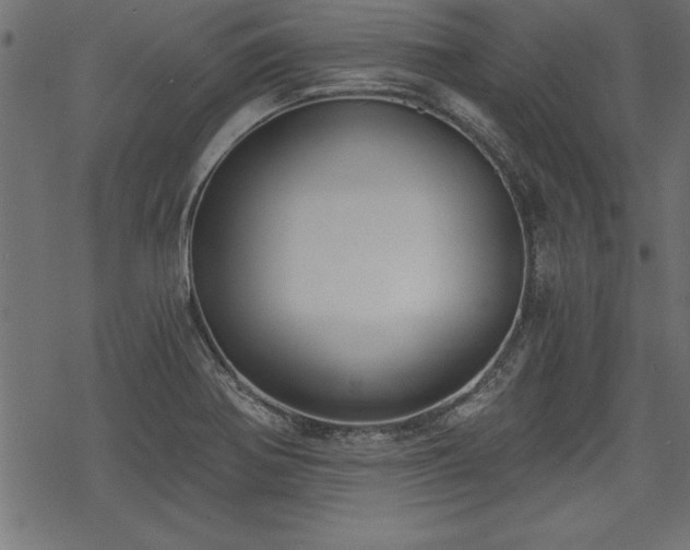 X0000068851370200605081204