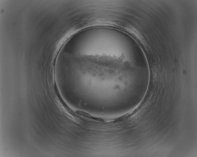 X0000068851371200605081204