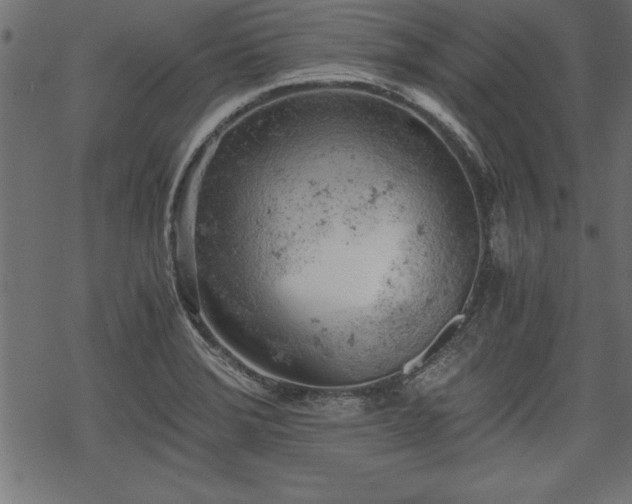 X0000068851372200605081204