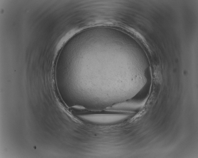 X0000068851373200605081204