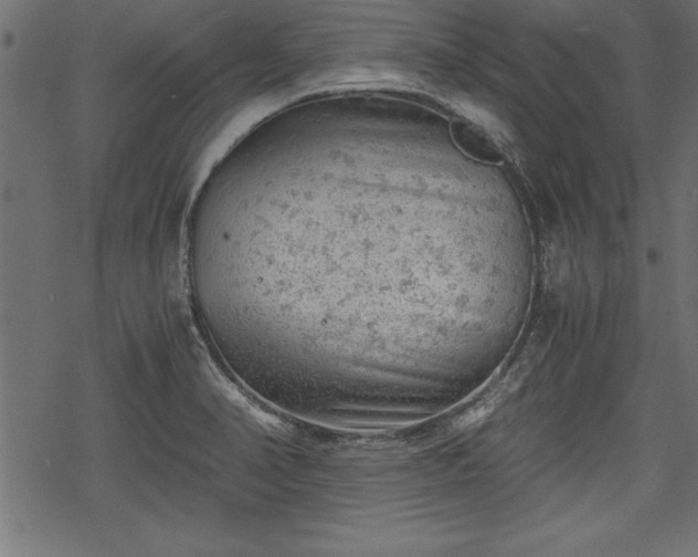 X0000068851374200605081204