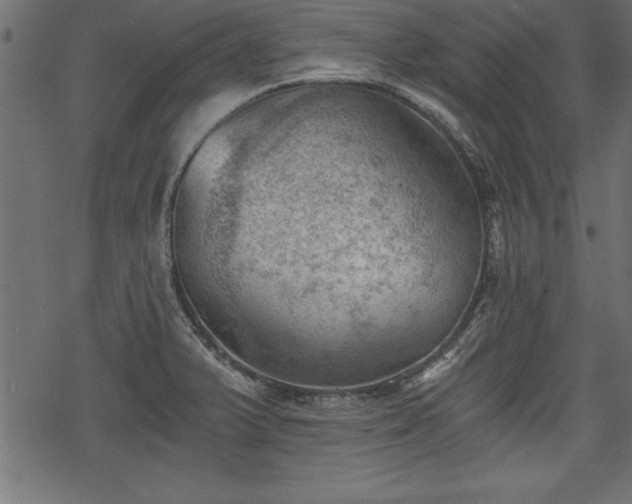 X0000068851375200605081204