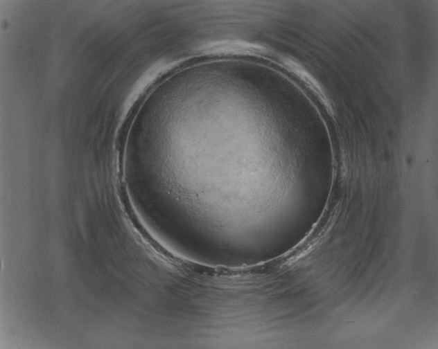 X0000068851376200605081204