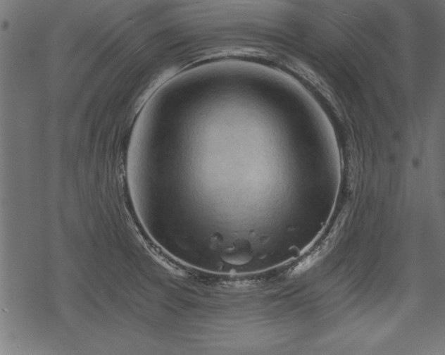 X0000068851377200605081204