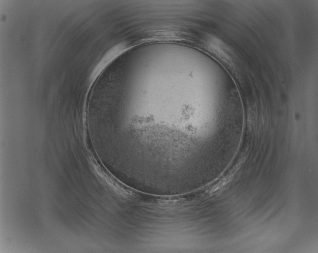 X0000068851378200605081204