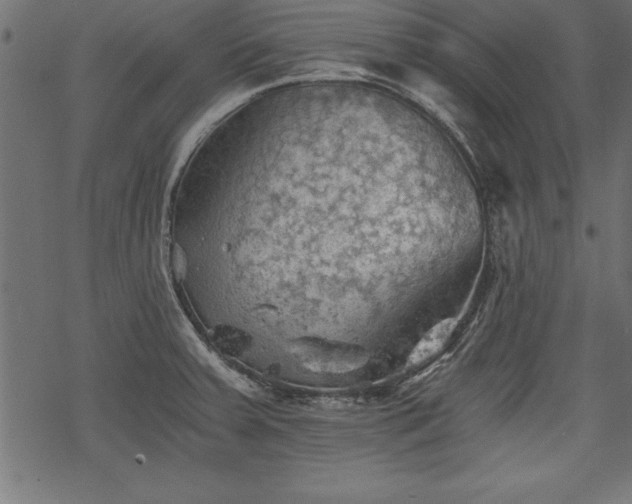 X0000068851379200605081204