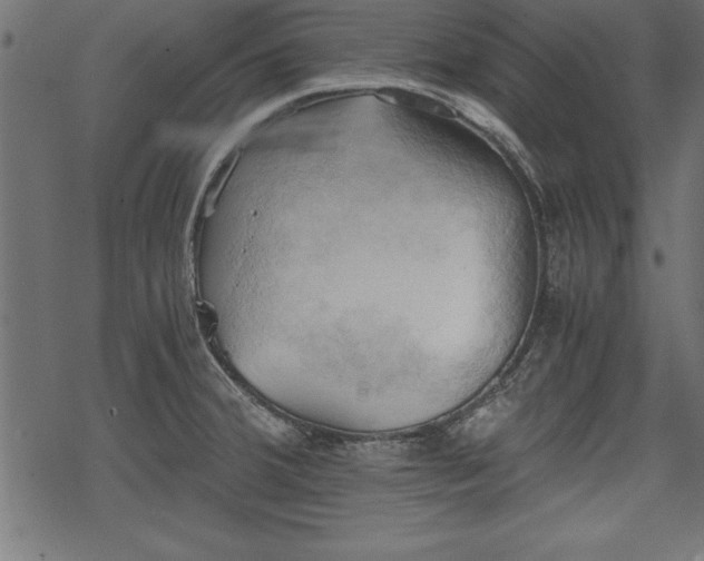 X0000068851380200605081204