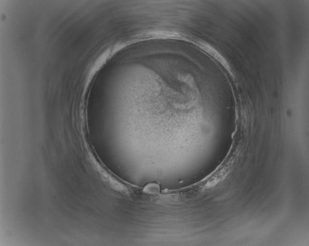 X0000068851381200605081204