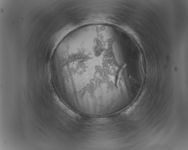 X0000068851382200605081204