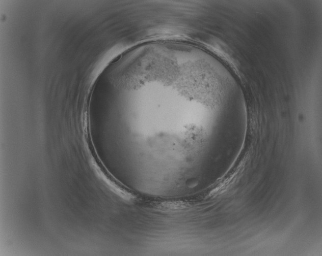 X0000068851383200605081204