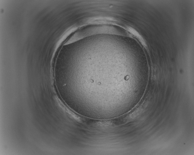 X0000068851384200605081204