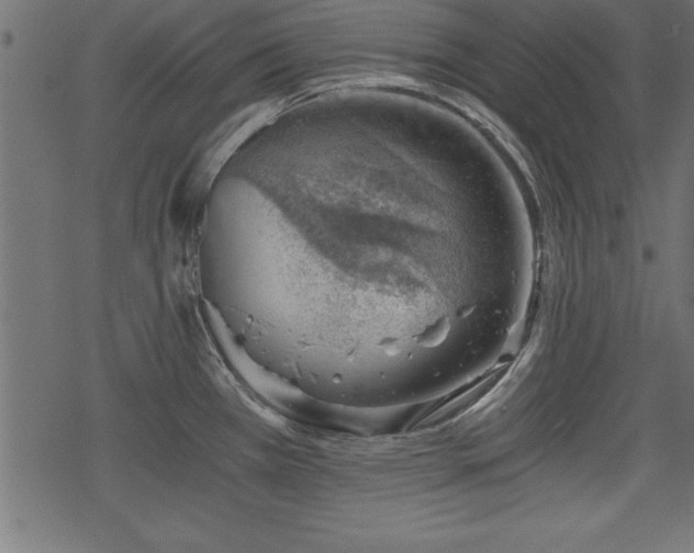 X0000068851385200605081204