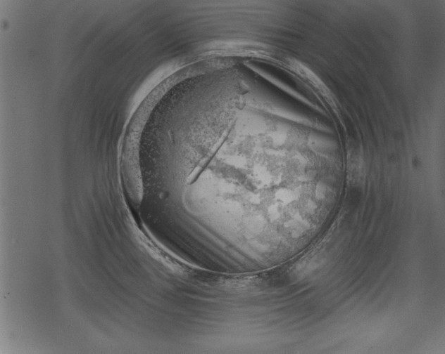 X0000068851386200605081204