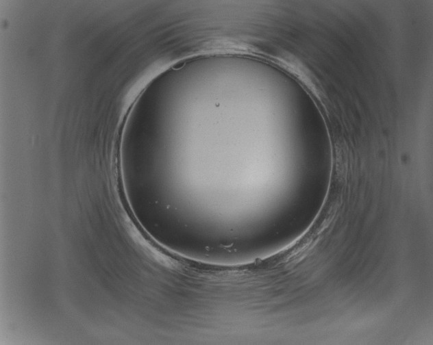 X0000068851387200605081204