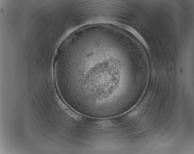 X0000068851388200605081204