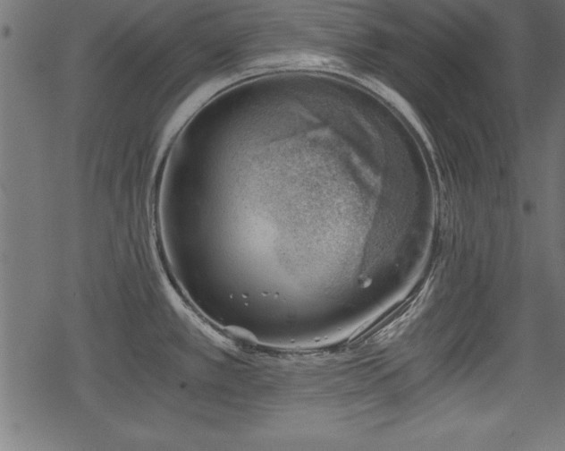 X0000068851389200605081203