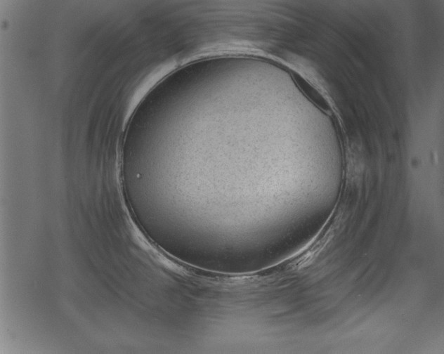 X0000068851390200605081203