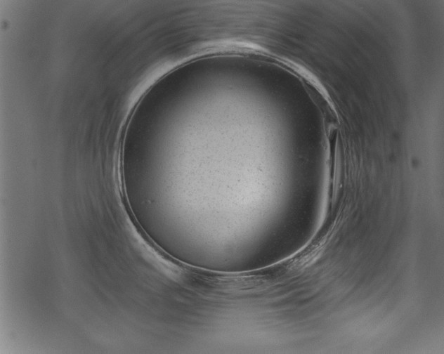 X0000068851391200605081203