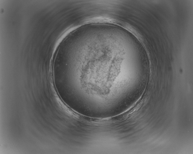 X0000068851392200605081203