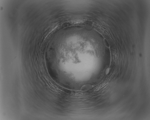 X0000068851393200605081203