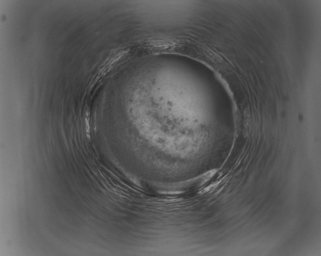 X0000068851394200605081203