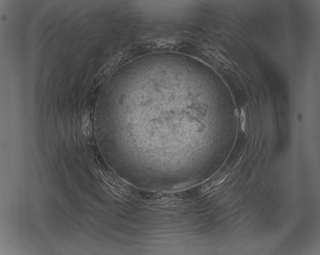 X0000068851395200605081203