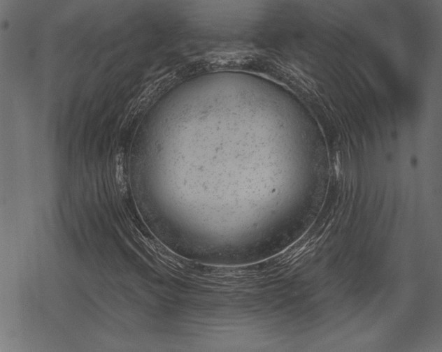 X0000068851396200605081203