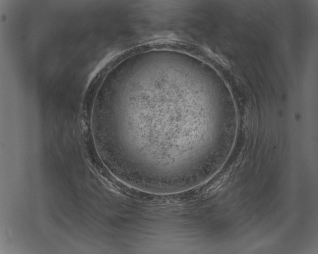 X0000068851400200605081203