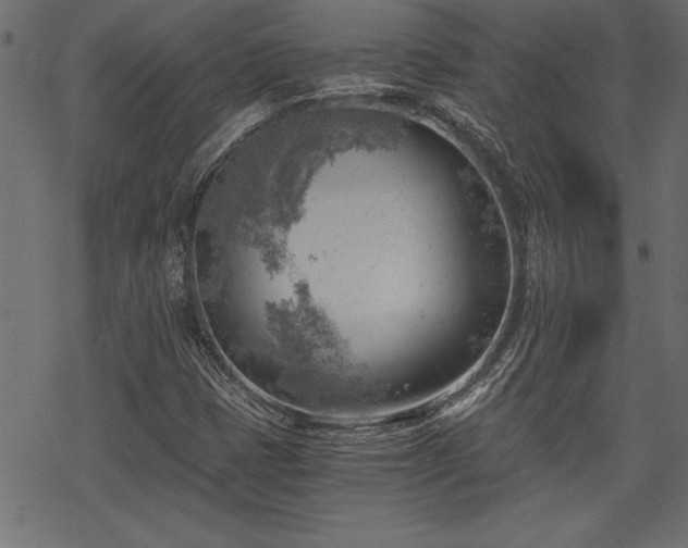 X0000068851401200605081203