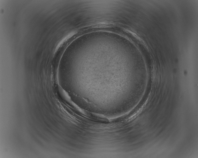 X0000068851402200605081203