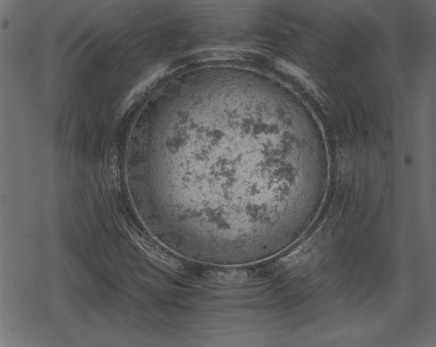 X0000068851403200605081203