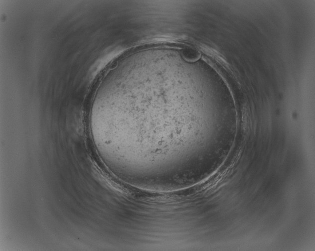 X0000068851404200605081203