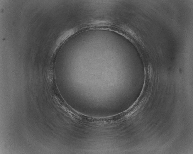 X0000068851405200605081203