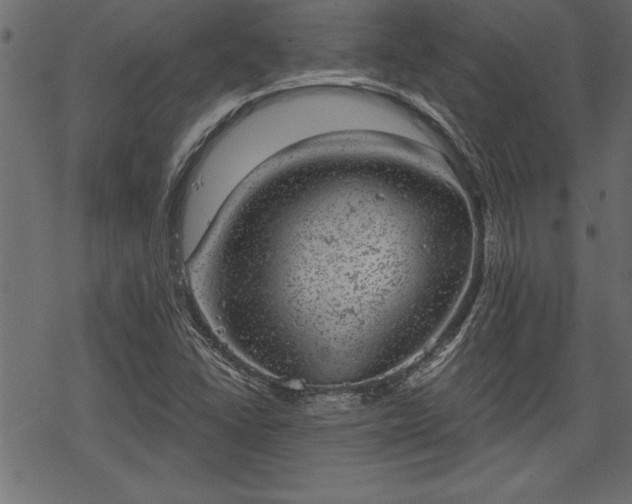 X0000068851406200605081203