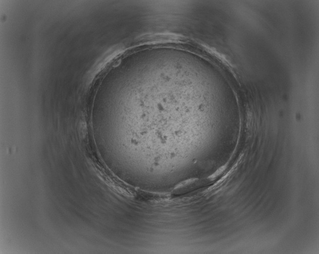 X0000068851407200605081203