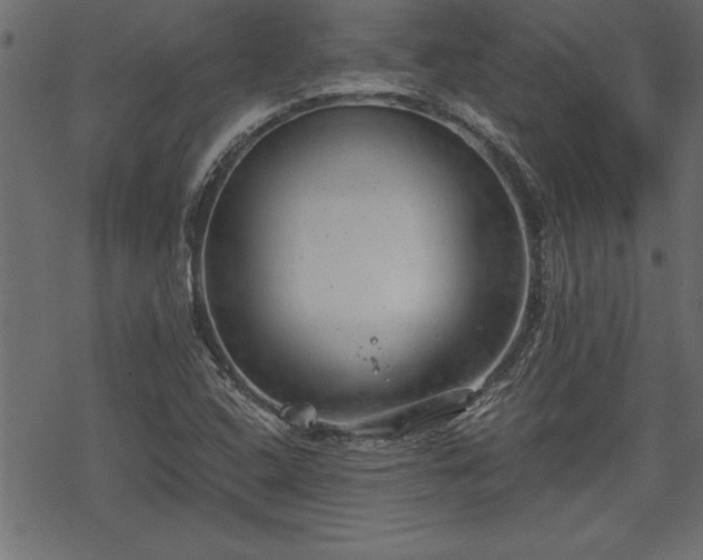 X0000068851408200605081203