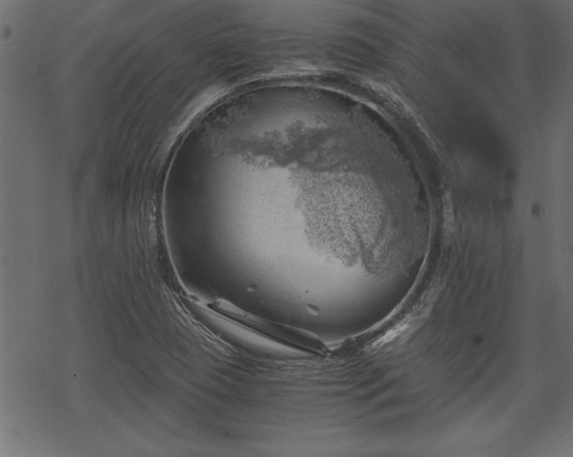 X0000068851409200605081203