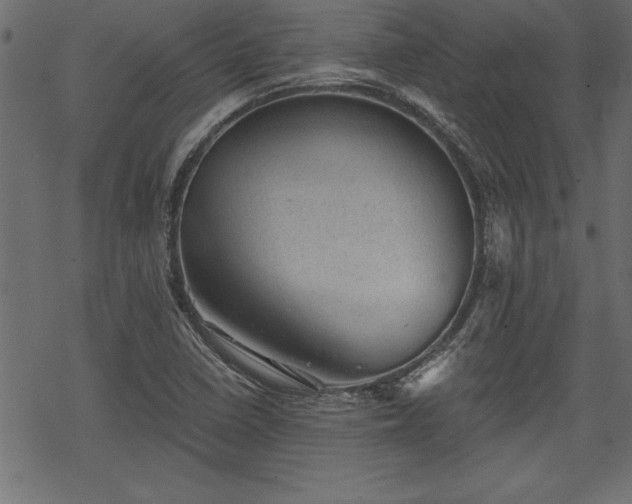 X0000068851410200605081203